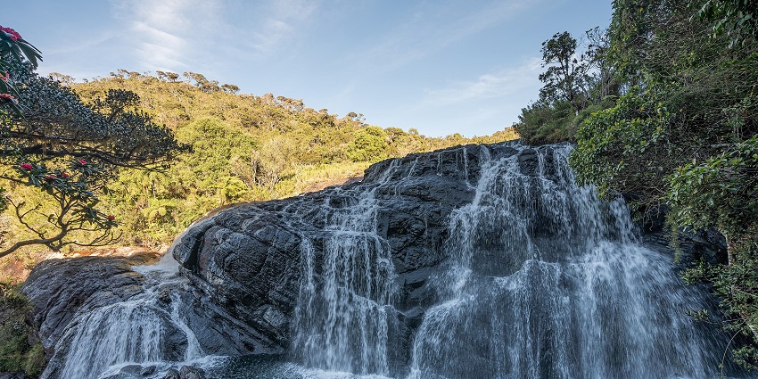 Alluring view of Horton Plains National Park.