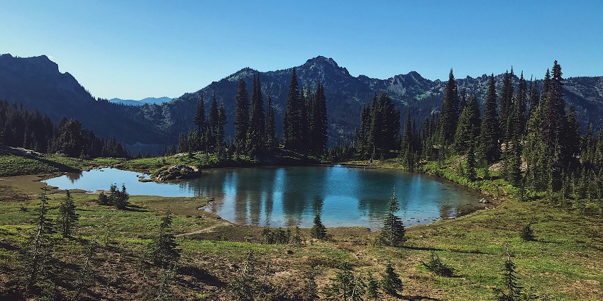 An image of the waterfall near Mount Rainier National Park