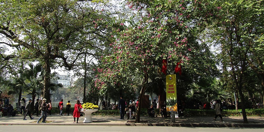 A picturesque street leading to Hoàn Kiếm Lake, filled with locals and tourists strolling by