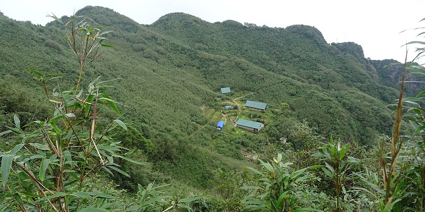 Picturesque view of Fansipan, Indochina's highest summit, amidst foggy clouds and green forests
