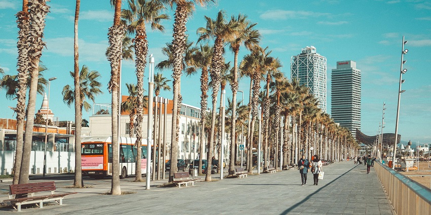 An image of buses to reach Antalya Aquarium from major city landmarks.