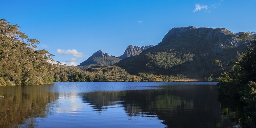 A picture of a scenic road leading to Cradle Mountain, surrounded by lush forests and mountains.