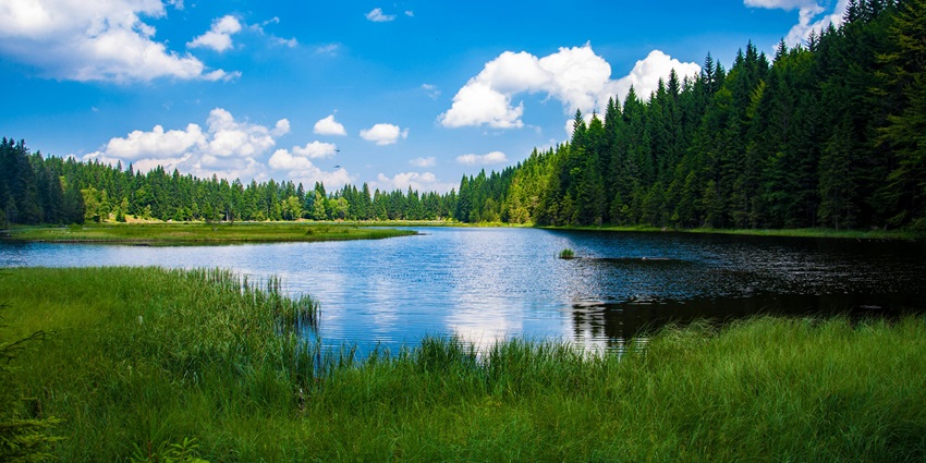 Majestic view of the lake in Mussoorie, an ideal spot for nature lovers
