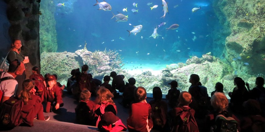 Tourists arriving at Sea Life Sydney Aquarium, located in Darling Harbour.