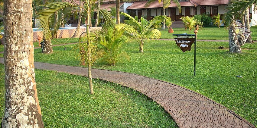 A scenic road leading to one of the Lakes in Kerala, surrounded by greenery and misty hills.