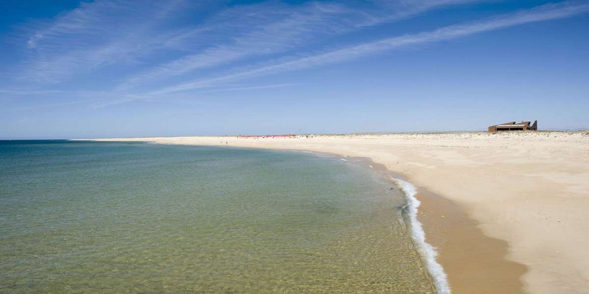 A peaceful, untouched island beach with pristine sands and rich marine life.