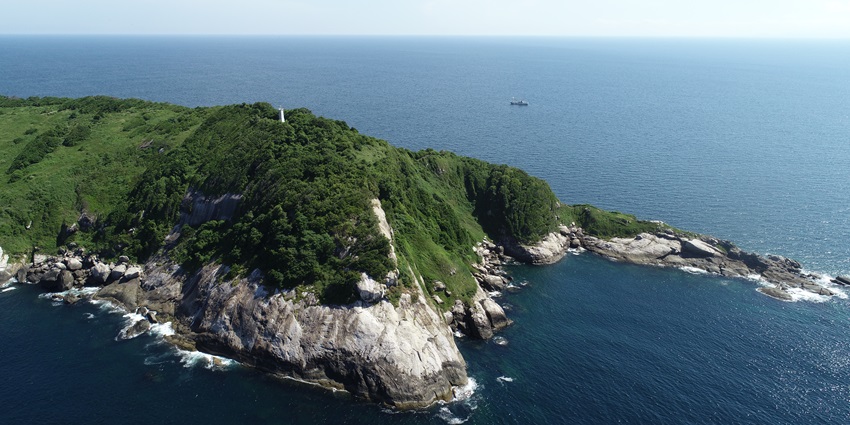 Ilha da Queimada Grande, also known as Snake Island, is one of the most dangerous islands