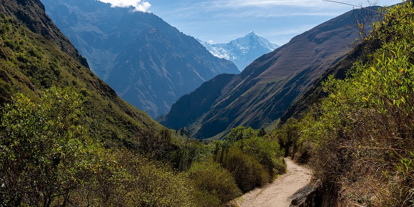 An image of the Inca Trail in Peru, a well-known trekking route leading to Machu Picchu.