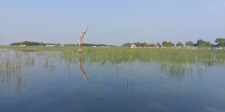 A view of Indira Gandhi Canal Reservoir, functions as a vital water source for Bikaner.