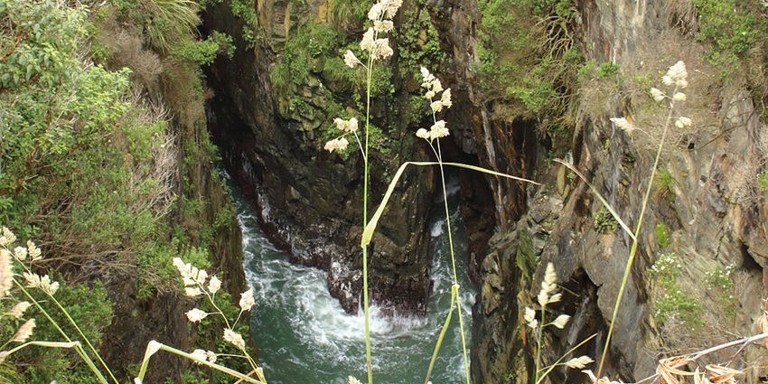 A view of a sign for Jack's Blowhole in the Catlins, a tourist attraction near McLean Falls.