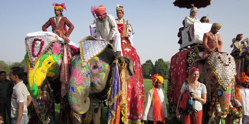 An image showing decorated elephants parading during the Elephant Festival in Jaipur