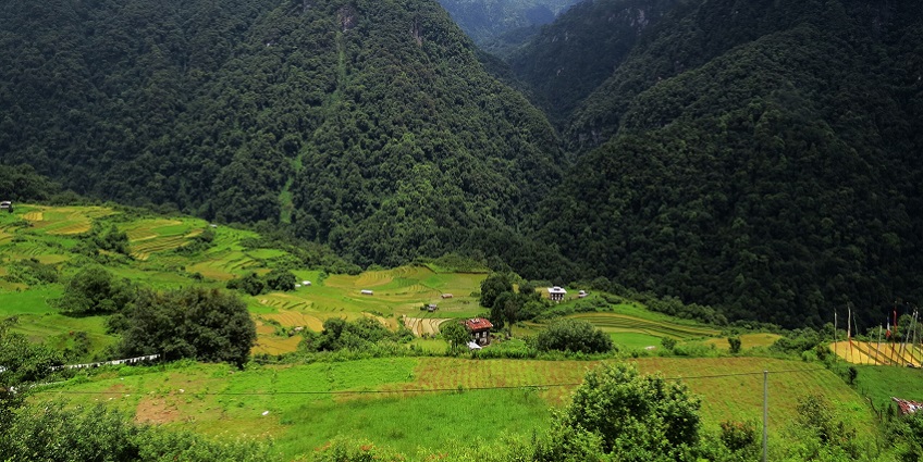Spend tranquil moments with your family in Jigme Dorji National Park, surrounded by nature and rare wildlife.
