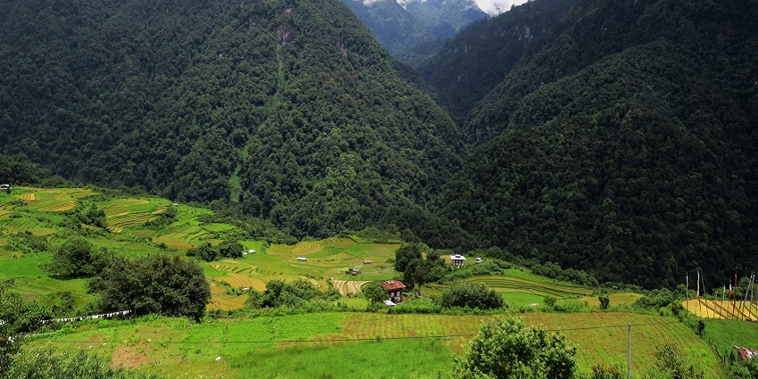 An image of green mountainous landscape with terraced fields in the Jigme Dorji National Park