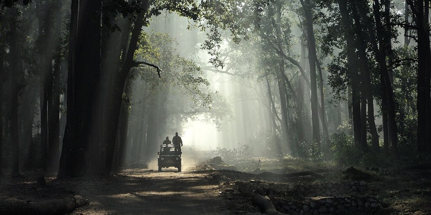 An image of a jeep safari in Jim Corbett National Park, one of the top tiger wildlife sanctuaries in the world