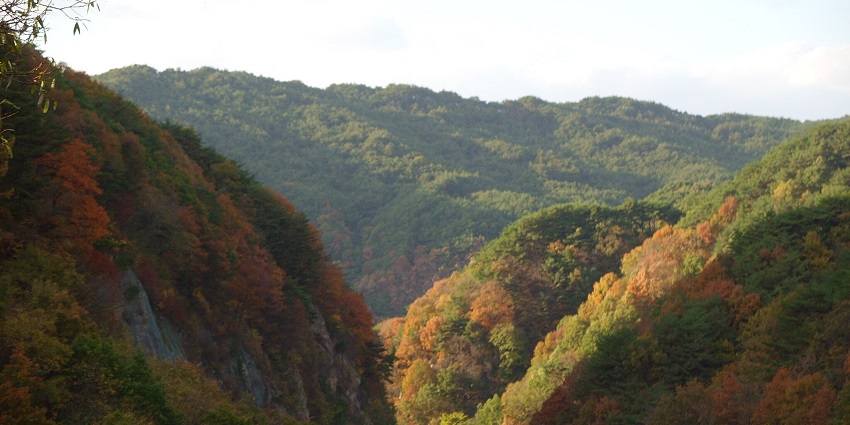 Jirisan’s forest trekking leads to sacred temples, misty peaks, and vibrant autumn hues.