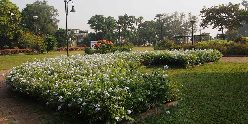 John batista garden is one of the best places near the Chinese temple in Mumbai