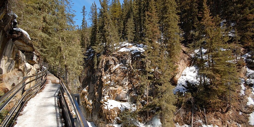 Johnston Canyon Trail with a bridge on the left side, surrounded by nature and mountains