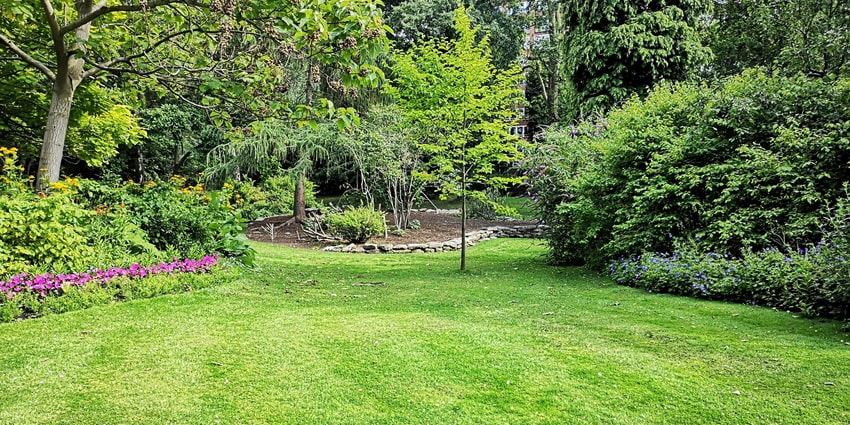 A glimpse of perfectly manicured lawns of a garden in Nepal decked with tall trees.