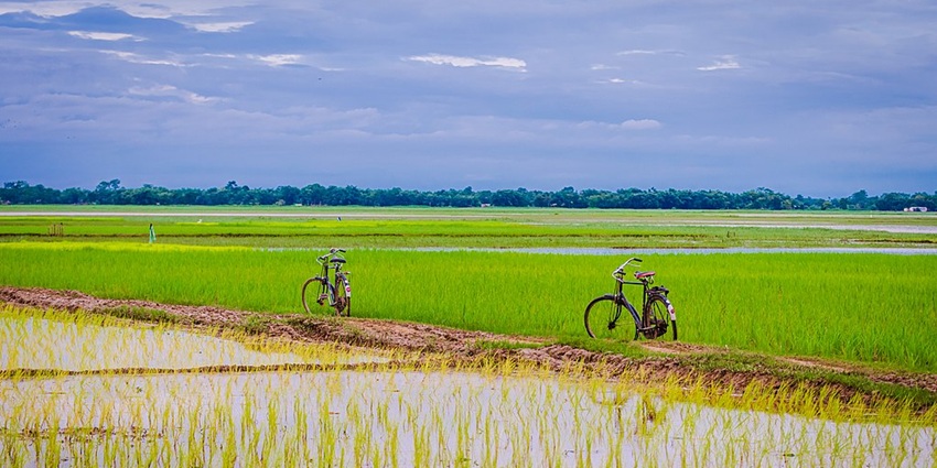 View of the local feilds in Jorhat, one of thr best places to visit near Kakochang