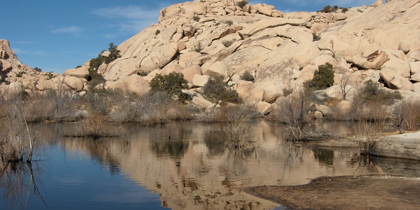 An image of an arid landscape featuring a rocky hill in the Joshua Tree National Park, USA