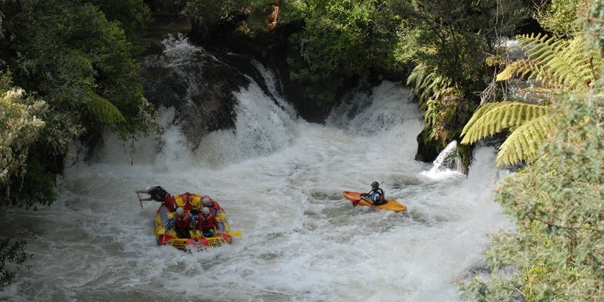 Kaituna River is one of the famous places for river kayaking in the world for adventurers.