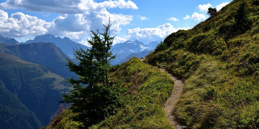 image of a trail resembling the Kalalau Trail, a popular trekking destination in January.