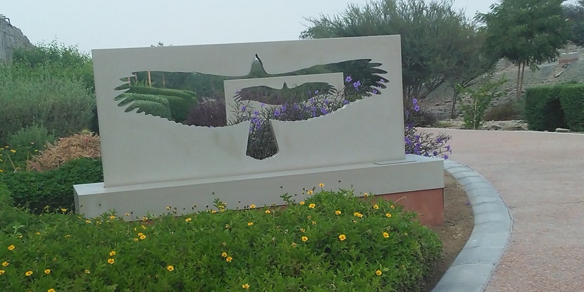 Explore Kalba Bird of Prey Centre, showcasing eagles, one of the things to do in Kalba