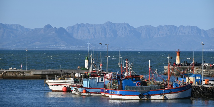 Colourful fishing boats at Kalk Bay Harbour, near Muizenberg Beach in Cape Town.