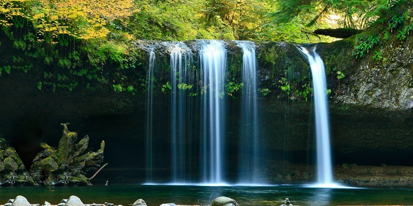 Waterfall cascading into a small lake with small rocks and surrounded by lush greenery