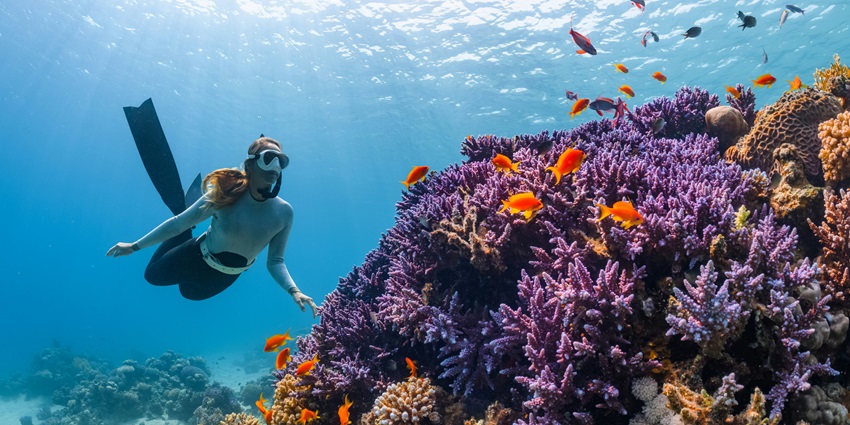Kalpitiya is most beautiful spots for Scuba diving in Colombo