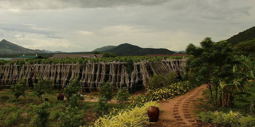 A view of the Kampot province, one of the top places to visit in Cambodia in February.