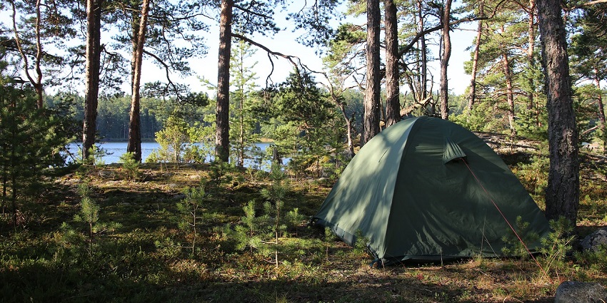 Image of Kanha National Park in Madhya Pradesh, one of the destinations for camping in India