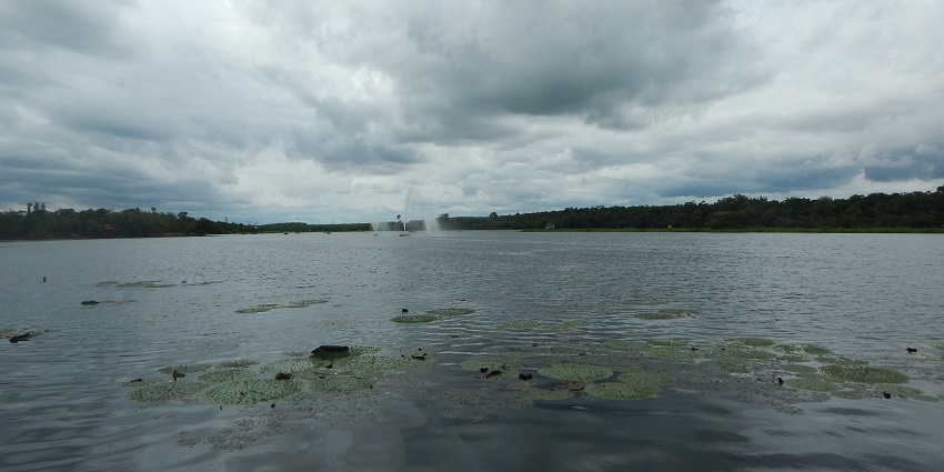An image of Kanjia Lake, a lake in Odisha, with calm waters surrounded by lush green scenery.