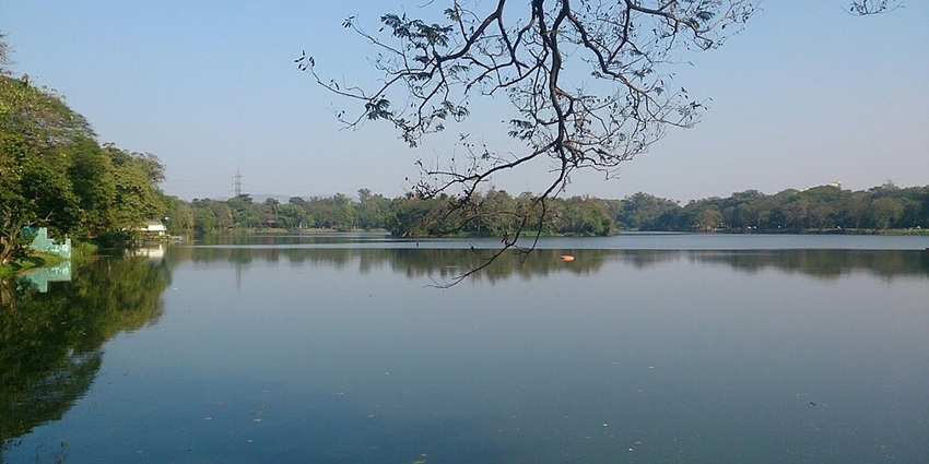 Lake with a still and large water body surrounded by big trees and distant buildings