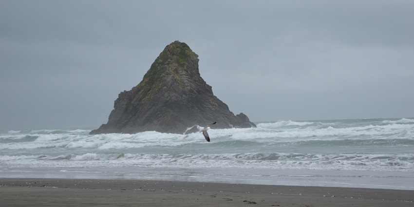 Stunning waves crash on Karekare Beach, one of the most scenic black sand beaches in the world.