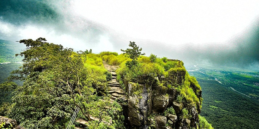 Karnala Bird Sanctuary is a green area with many birds near Lighthouse Waterpark.