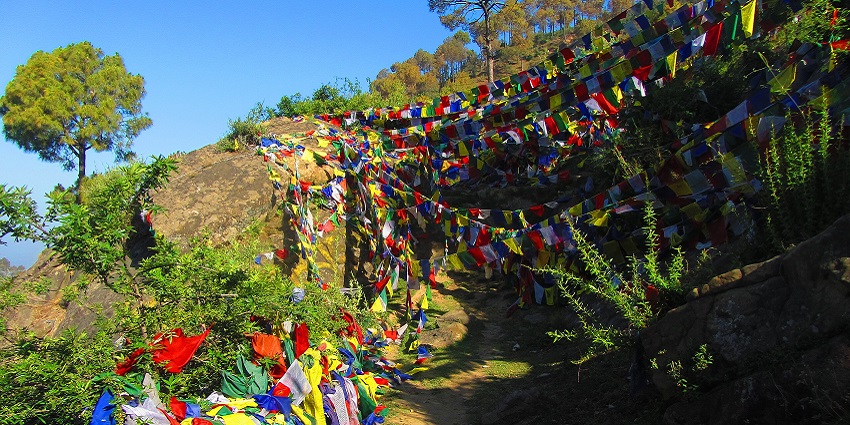 A cave in Solan with a small rocky trail surrounded by Tibetan flags and lush greenery