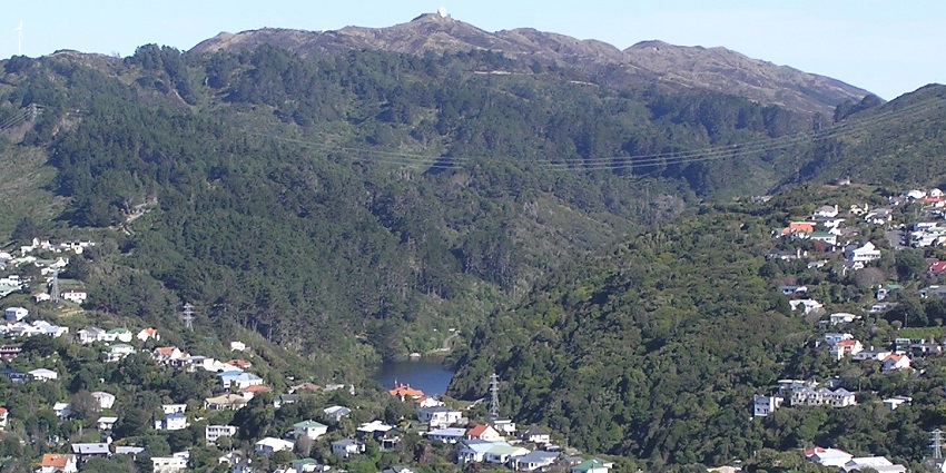 A view of the Karori Wildlife Sanctuary, showing green forests and native birds flying.
