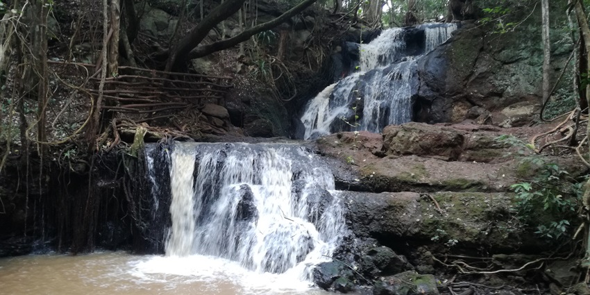 The Karura Waterfall cascading gracefully amidst the lush greenery of Karura Forest