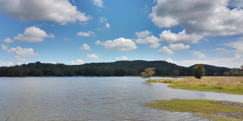 A scenic view of the Kaudulla National Park, a major hotspot near Pidurangala Rock.