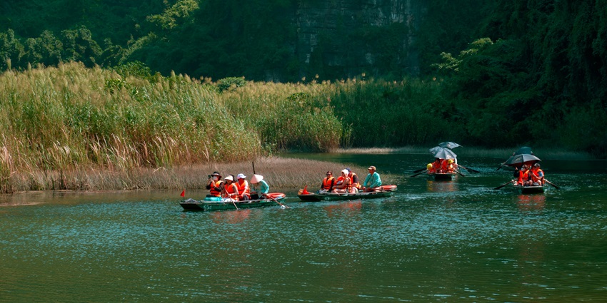 Kayaks gliding through Yap’s lush mangrove channels, one of the things to do in Yap.