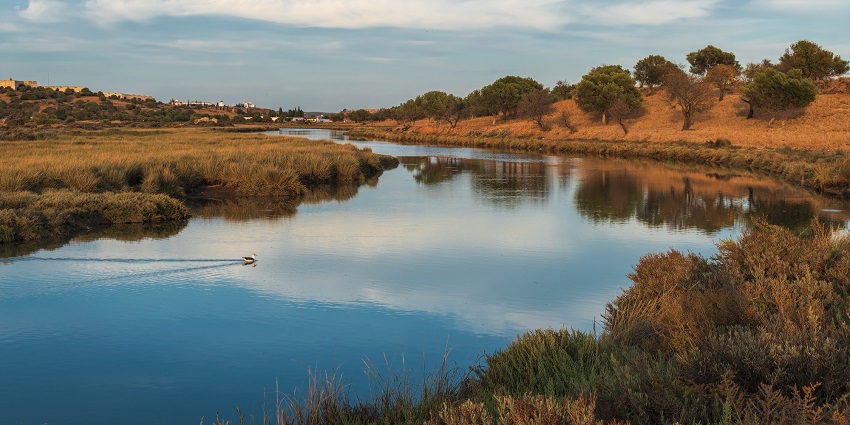 One of the lakes in Jodhpur with calm waters, natural beauty and offering a peaceful retreat.