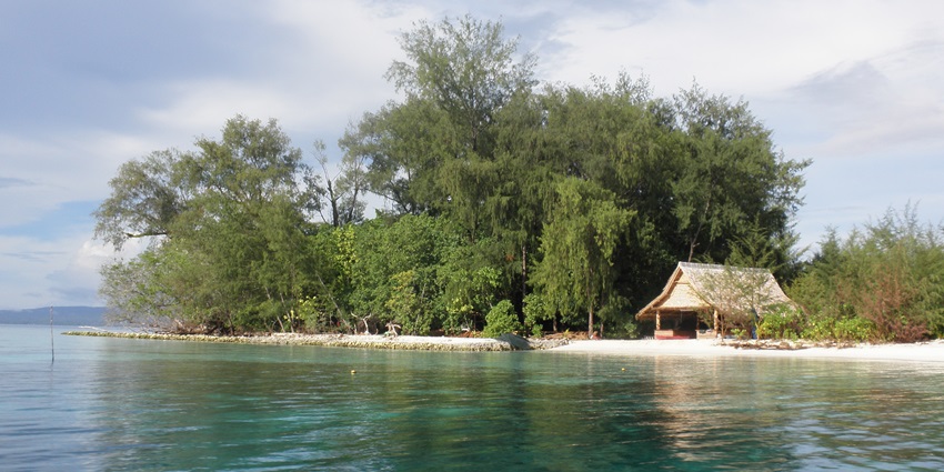 A wooden hut on the sandy shores of Kennedy Island surrounded by tall green trees