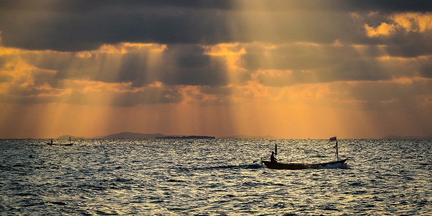 Hike scenic trails, enjoy ocean views, and explore diverse wildlife