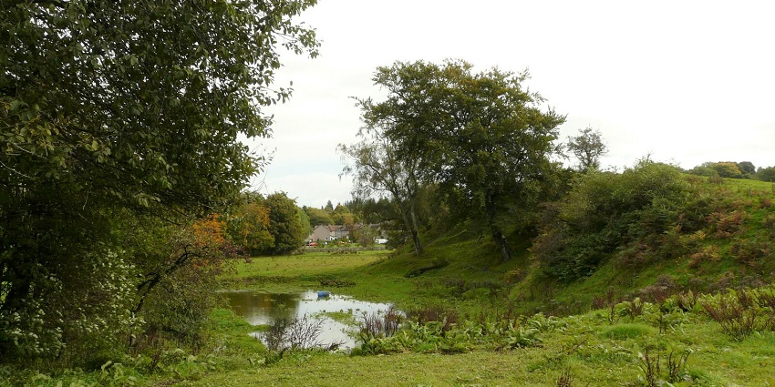 An image of a dense forest with a small waterbody, similar to Kheoni Wildlife Sanctuary