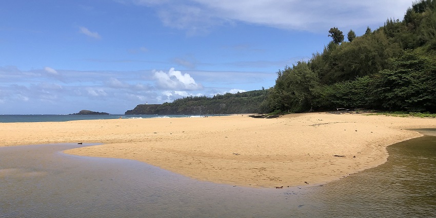Kilauea’s shoreline, shaped by volcanic activity, features lava rocks and strong tides.