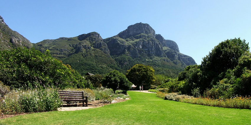 Kirstenbosch National Garden with mountains - is one of the places to visit in Cape Town.