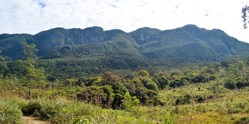 A view of lush greenery of Knuckles Peak, a place to visit near Kunckles Mountain Ranges