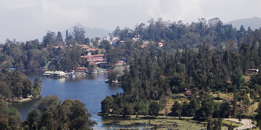A picture of Kodaikanal Lake surrounded by tall green trees on all sides.