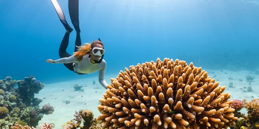 Undisturbed island with lush greenery and serene, uncrowded beaches.